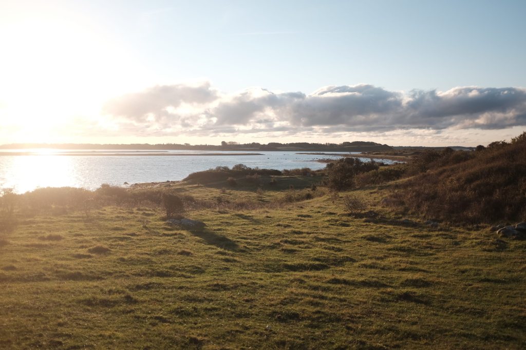 Let’s build networks of science-friends!